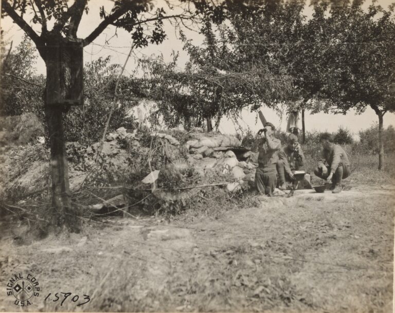 A camouflaged dugout used as a signal station for the 1st Field Battalion Signal Corps attached to the 6th Marines