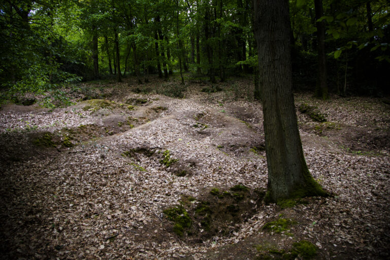 Remnants of shell craters are still seen in Belleau Wood. Photo Credit: Warrick Page/American Battle Monuments Commission.