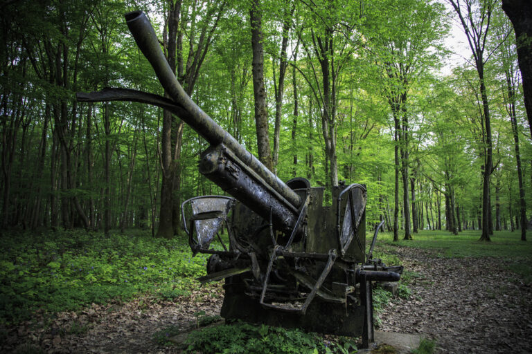 German artillery pieces were placed in Belleau Wood after World War I to commemorate the battle. Photo Credit: Warrick Page/American Battle Monuments Commission.