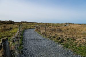 Gravel pathway lined by a rudimentary fence.