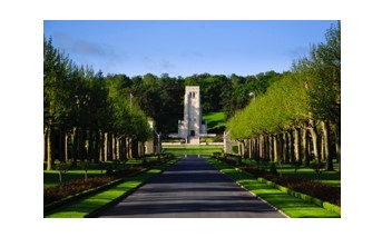 Oriental plane trees at Aisne-Marne American Cemetery. Credit: ABMC 