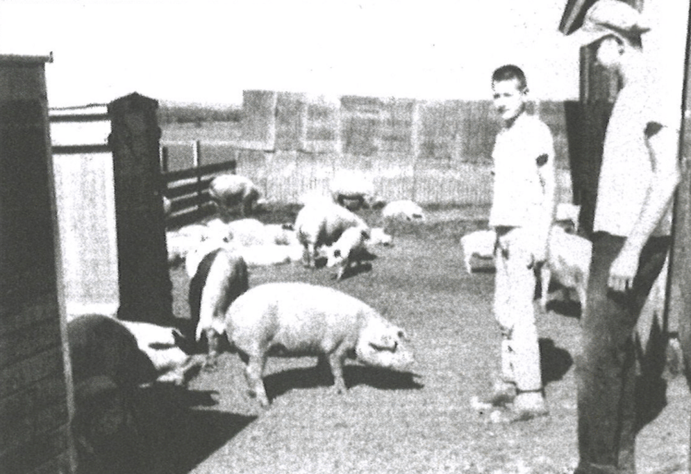 Two teens, Don Sparks (left) stand near pigs at County Fair in Coon Rapids, Iowa.